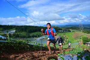 BIB: 8289
                            <button type="button" onclick="openModal(13381419)" class="btn btn-primary btn-sm float-right btn-popup" data-toggle="modal" data-target=".modal-high-quality">
                        <i class="fas fa-shopping-cart"></i> Add to Cart
                    </button>
                                            <button type="button" onclick="isThisMe(13381419, true)" class="btn btn-success btn-sm float-right btn-popup btn-isme hidden" data-toggle="tooltip" data-placement="bottom" title="นี่คือรูปของคุณใช่ไหม คลิกที่นี่เพื่อเอาเข้าอัลบั้ม">
                        <i class="fas fa-plus"></i> Add to album
                    </button>
                    <button type="button" onclick="isThisMe(13381419, false)" class="btn btn-warning btn-sm float-right btn-popup btn-isnotme hidden">
                        <i class="fas fa-ban"></i> Remove from album
                    </button>